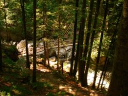 2013-07-20_Regina-F-Rau_Kochel-Rabenkopf (163).JPG